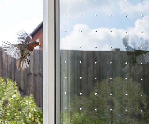Bird protection glass